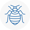 Bed Bug Extermination In Bamber Bridge