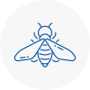 Bee Nest Removal Bamber Bridge