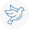 Bird Prevention Bamber Bridge