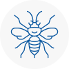 Bamber Bridge Hornet Nest Removals