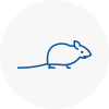 Mice Exterminators In Bamber Bridge