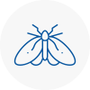 Moth Control Specialists In Bamber Bridge