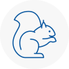 Bamber Bridge Rodent Removals